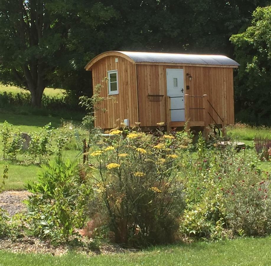 Slades Farm Glamping Villa Westbury  Exterior photo